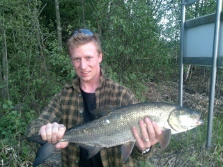 Toutain 2,40 kg